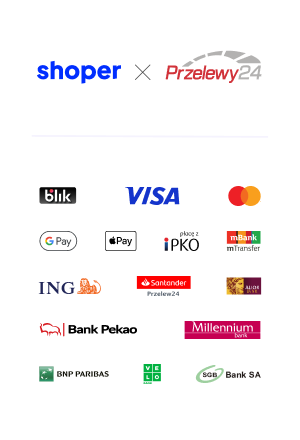 Płatności online – pion